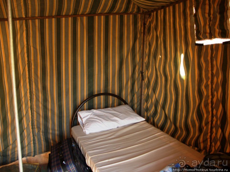 Небоскребы пустыни