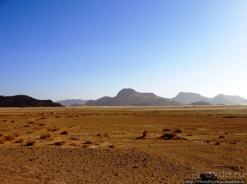 Небоскребы пустыни