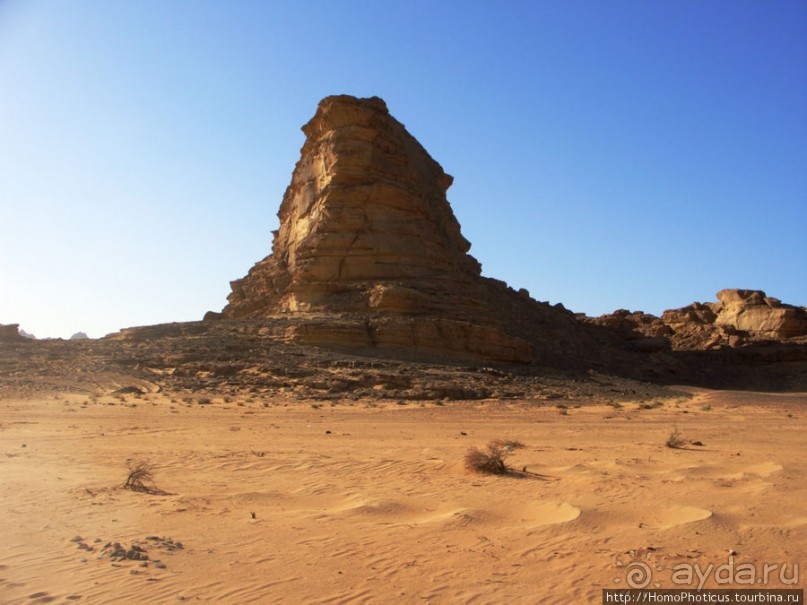 Небоскребы пустыни