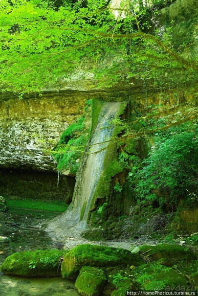 Волчьи ворота