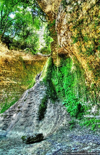 Волчьи ворота