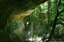 Волчьи ворота