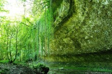 Волчьи ворота