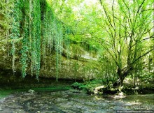 Волчьи ворота