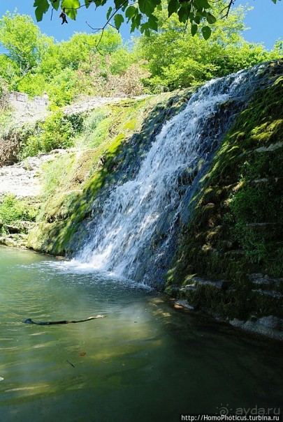 Волчьи ворота