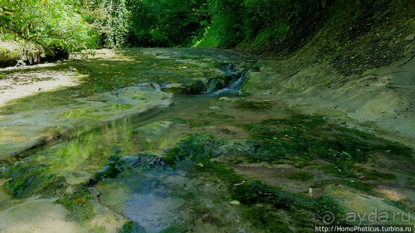 Волчьи ворота