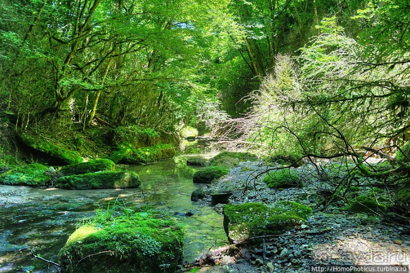 Волчьи ворота