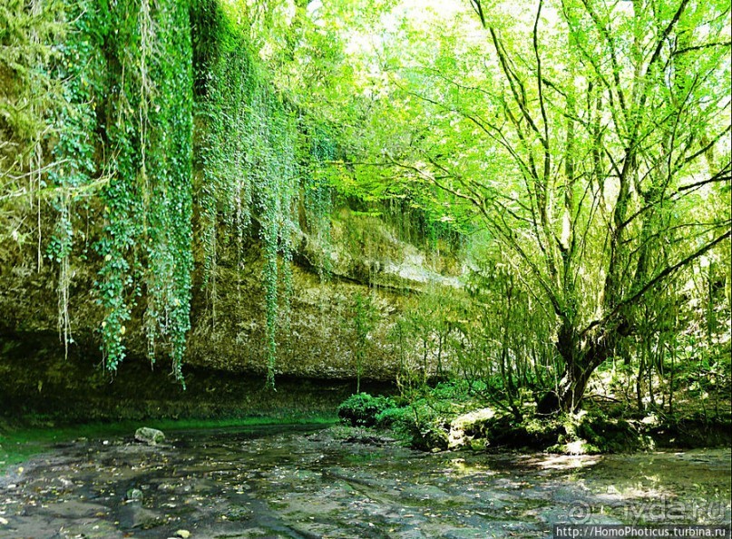 Волчьи ворота