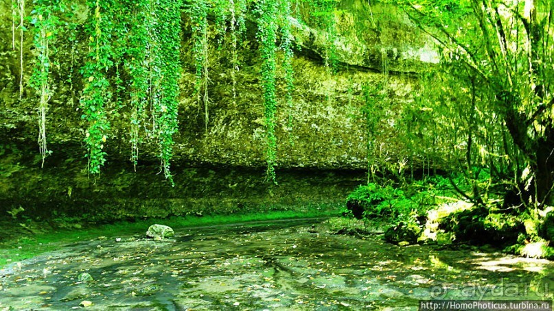 Волчьи ворота