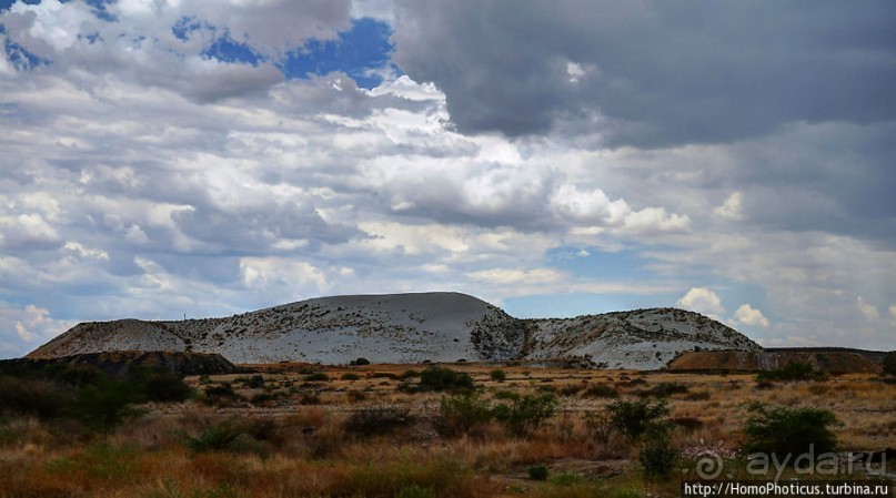 Берег Скелетов