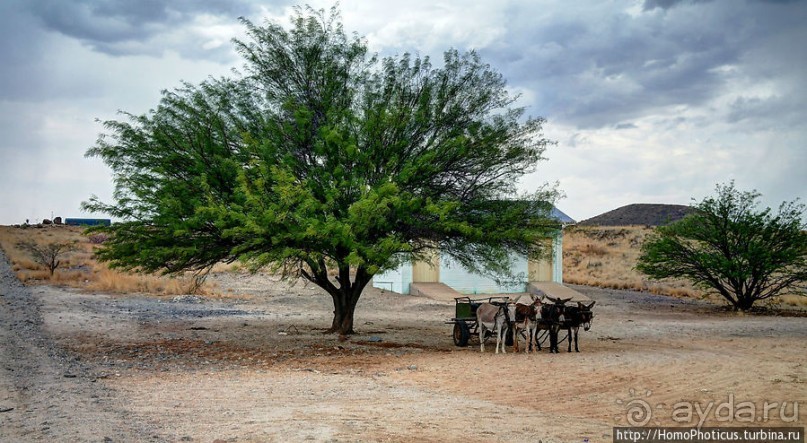 Берег Скелетов