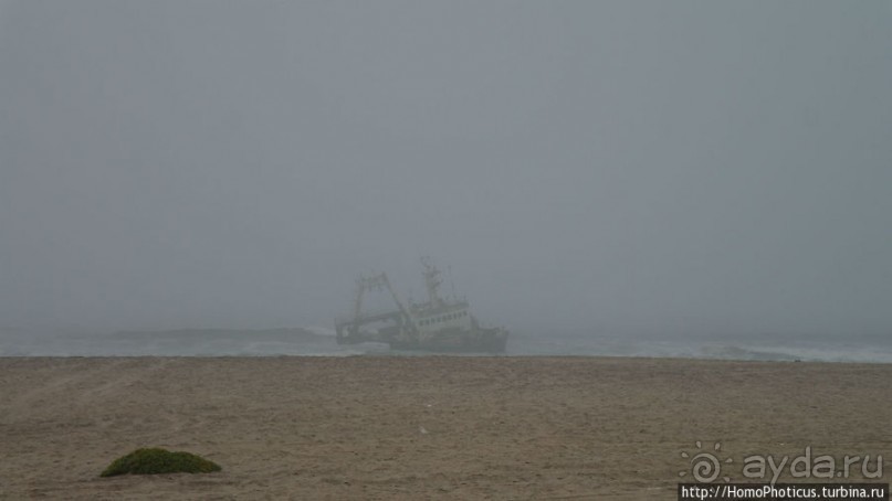 Берег Скелетов