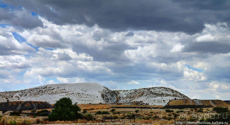 Берег Скелетов