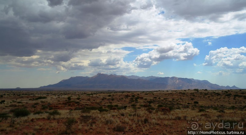 Берег Скелетов