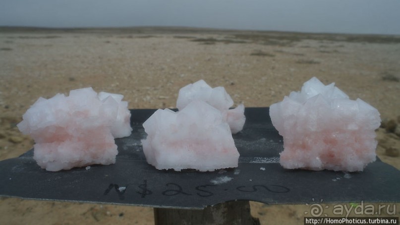 Берег Скелетов