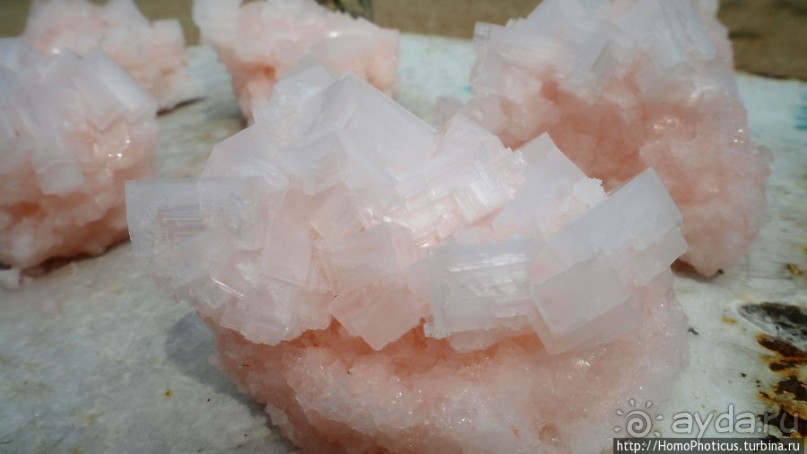 Берег Скелетов