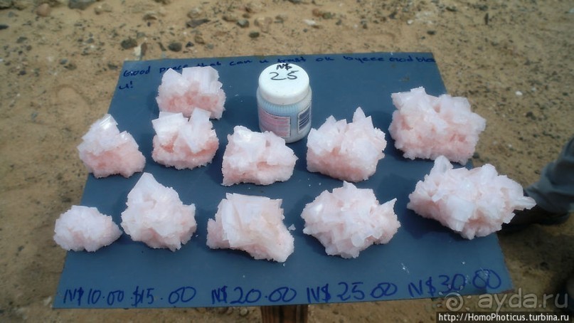 Берег Скелетов