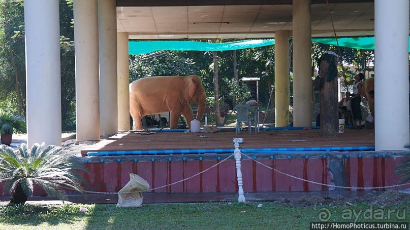 Янгон, он же Рангун, он же Дагон, или «конец вражде»