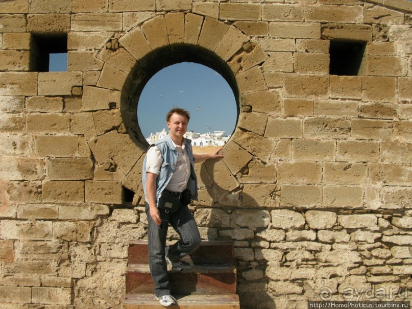 Чайки и ветер