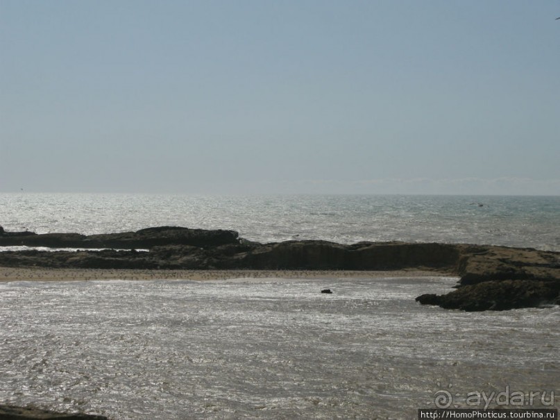 Чайки и ветер