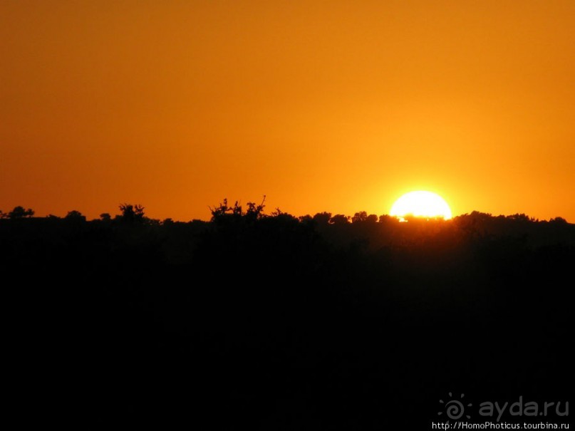 Чайки и ветер