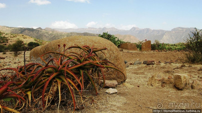 На краю Эфиопского нагорья