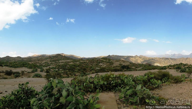 На краю Эфиопского нагорья