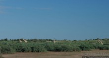 Сафари в Калахари