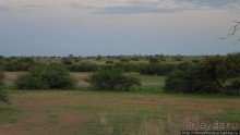 Сафари в Калахари