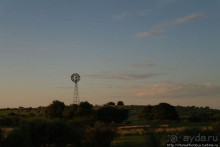 Сафари в Калахари