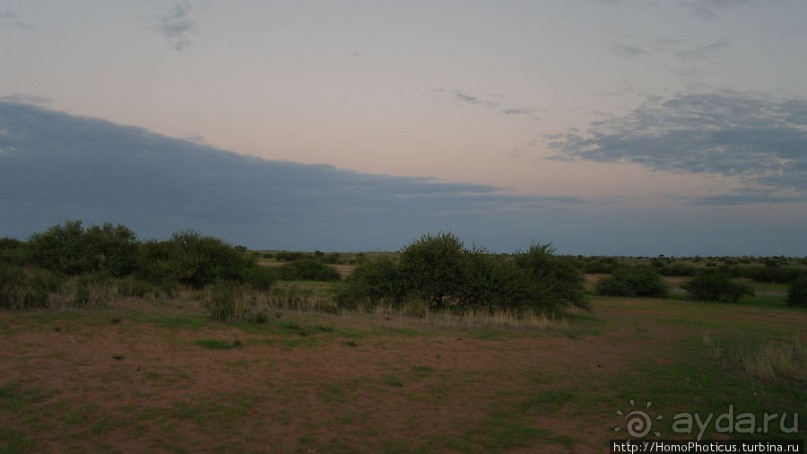 Сафари в Калахари