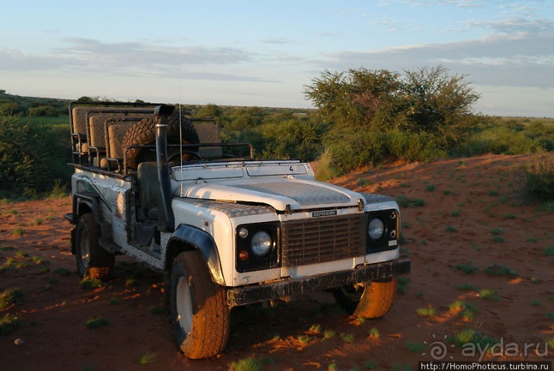 Сафари в Калахари