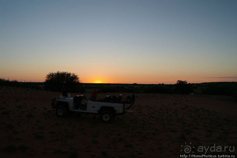 Сафари в Калахари