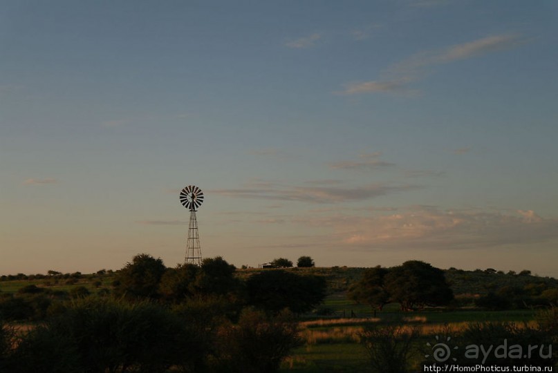 Сафари в Калахари