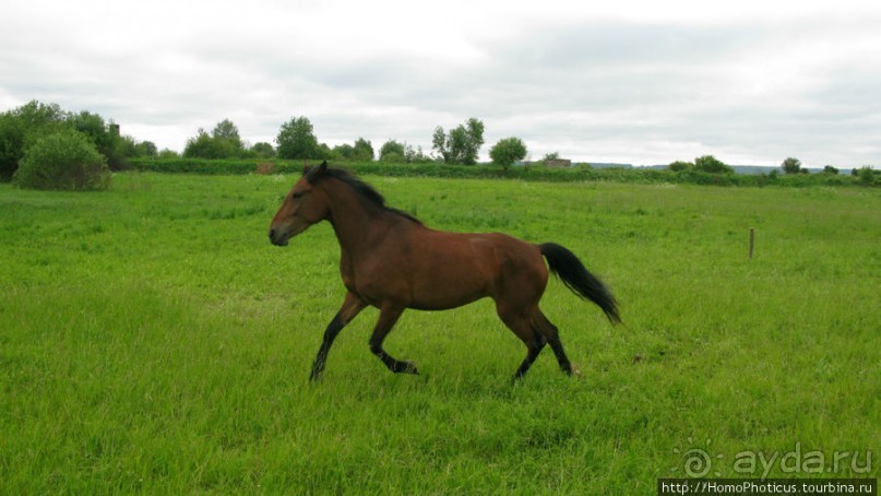 Верхом по глубинке