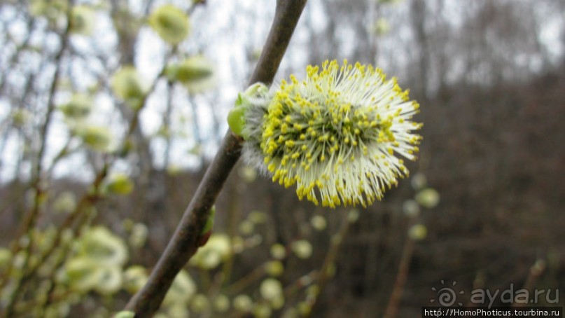Верхом по глубинке