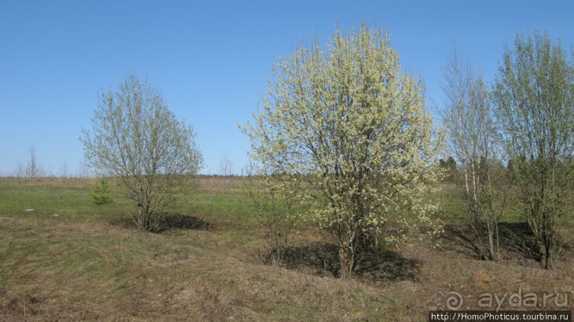 Верхом по глубинке