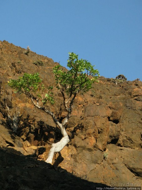 Каменная купель ущелья Диэрху