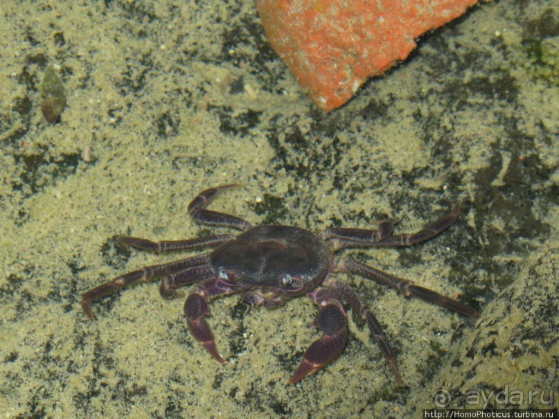 Каменная купель ущелья Диэрху