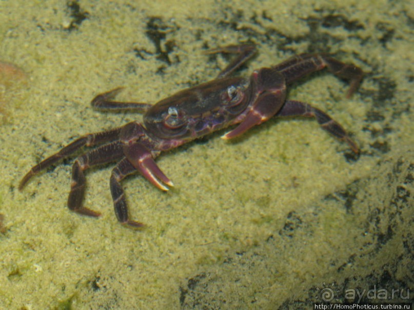 Каменная купель ущелья Диэрху