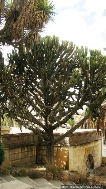 «Маленький Рим» в Африке