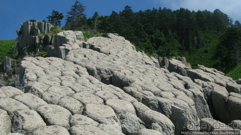 Здесь растут столбы