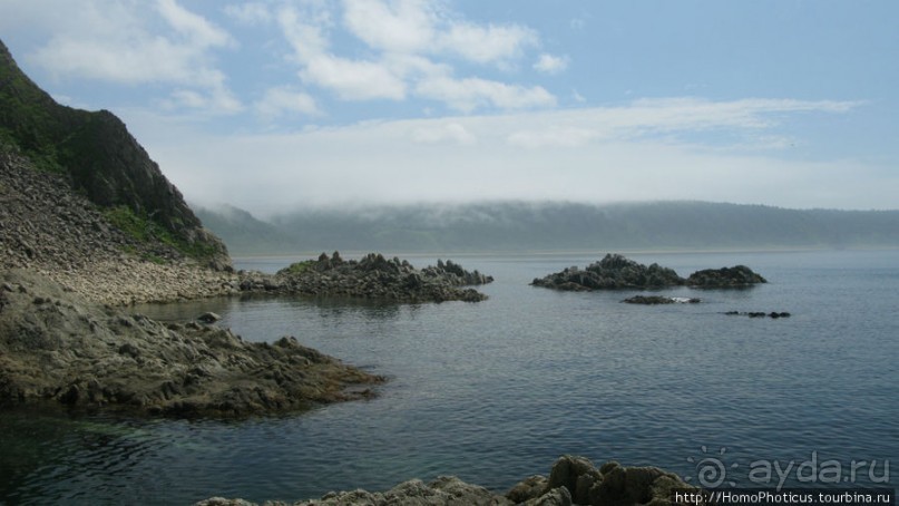 Здесь растут столбы