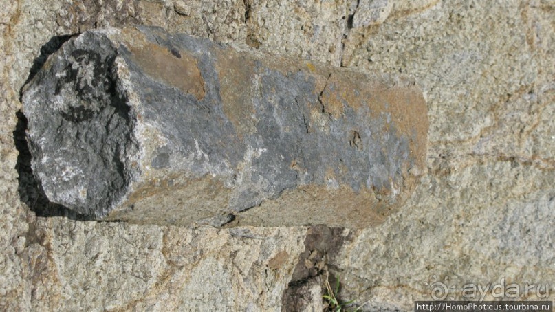 Здесь растут столбы