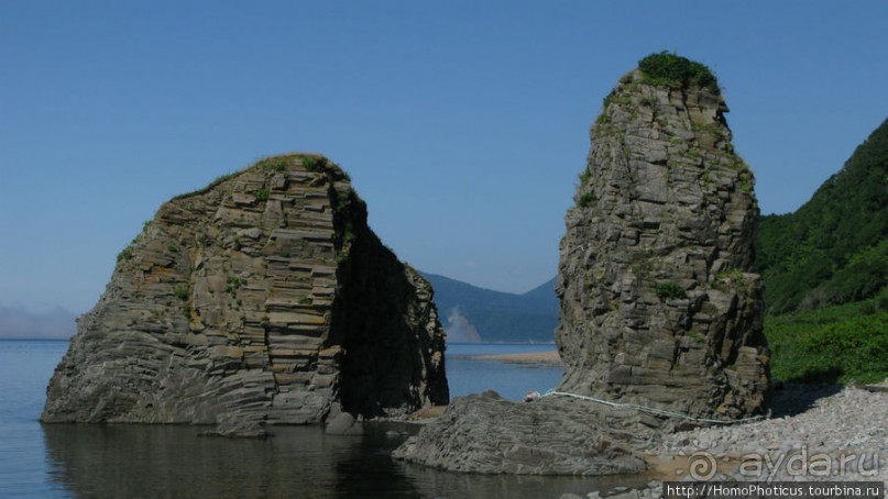 Здесь растут столбы