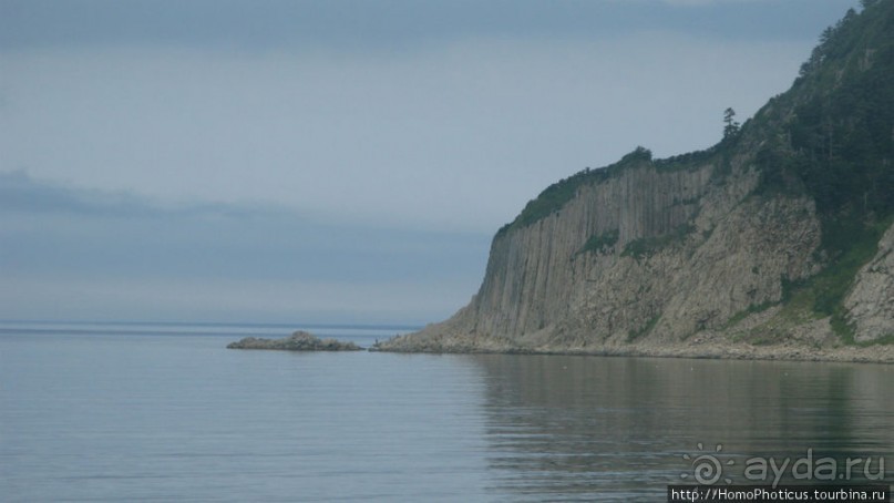 Здесь растут столбы