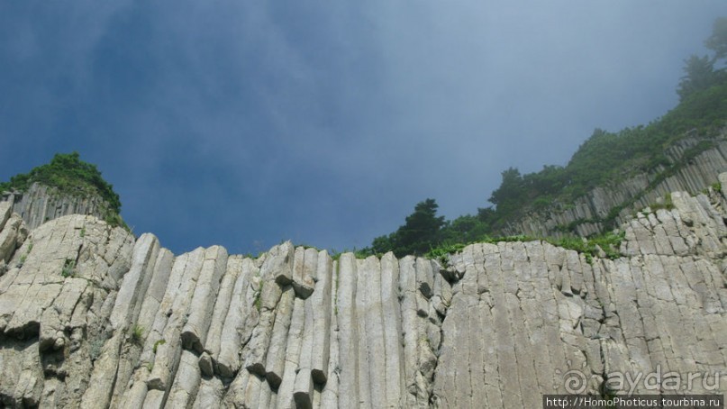 Здесь растут столбы