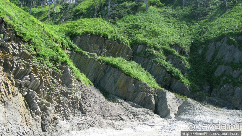 Здесь растут столбы