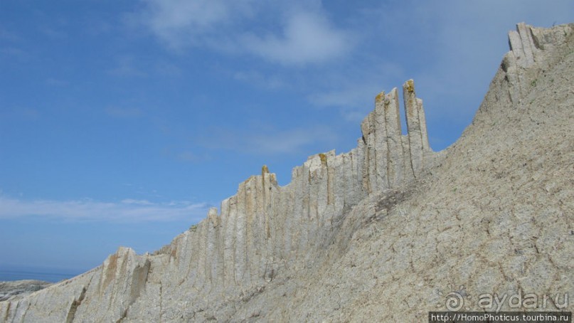 Здесь растут столбы