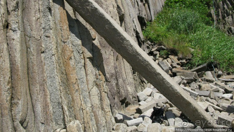 Здесь растут столбы